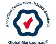 Nsqhs Standards2